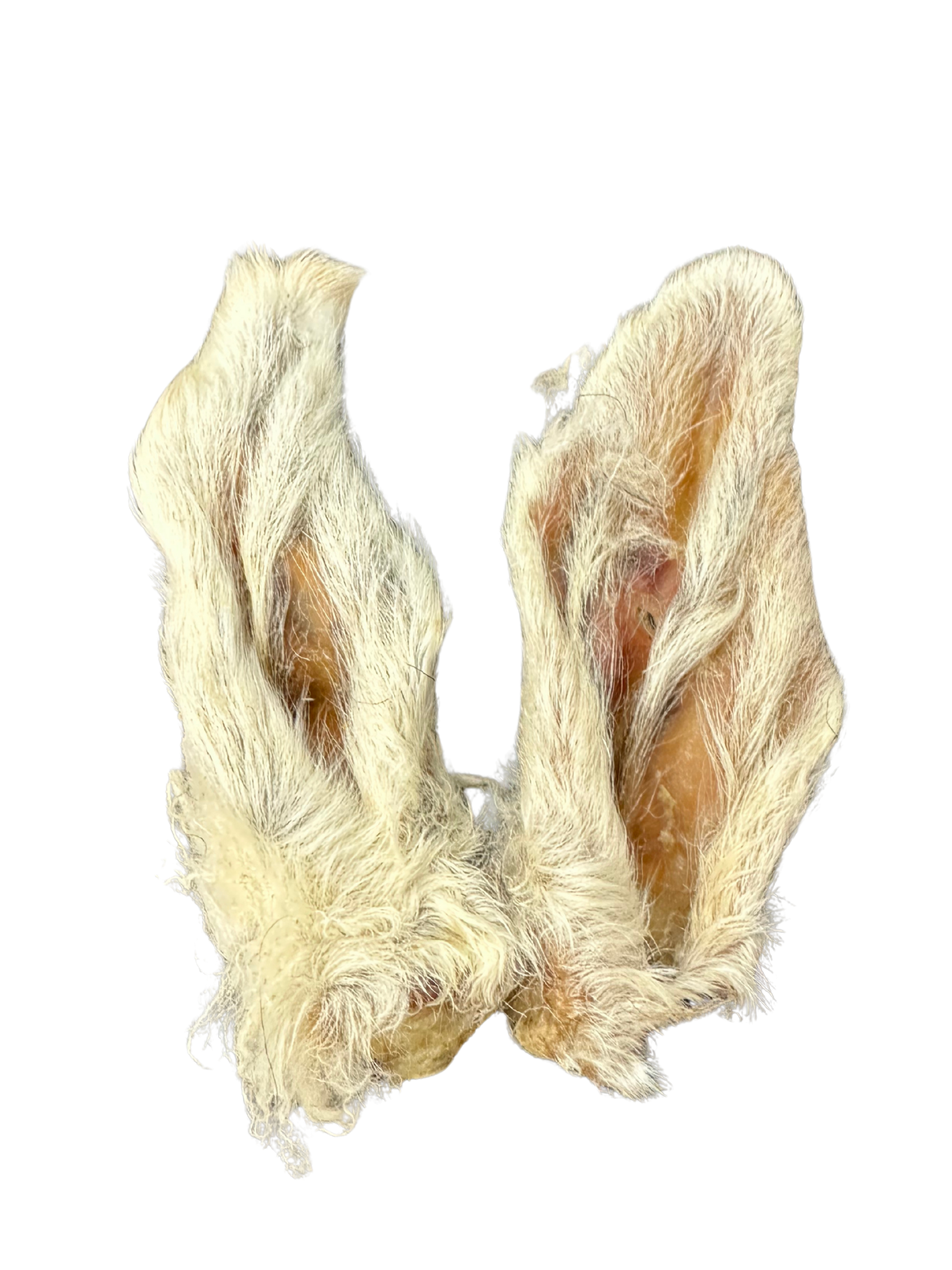 GVQ - Oreille d'agneau avec poil. Bêtes Gourmandes, boutique spécialisée alimentation, éducation et sports pour chiens à Québec.