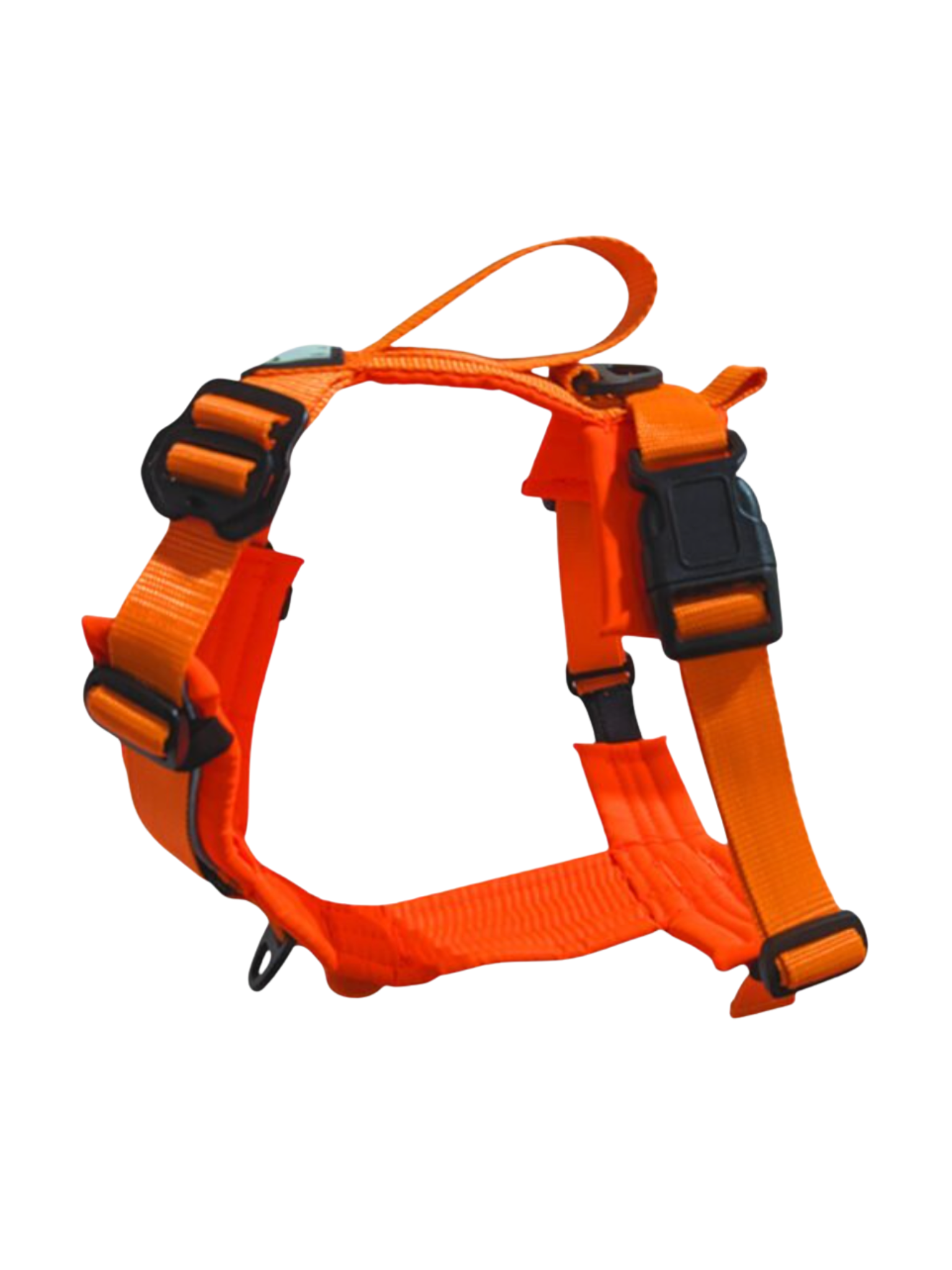 LE CHIEN BLANC - Harnais Horizon. Bêtes Gourmandes, boutique spécialisée alimentation, éducation et sports pour chiens à Québec.