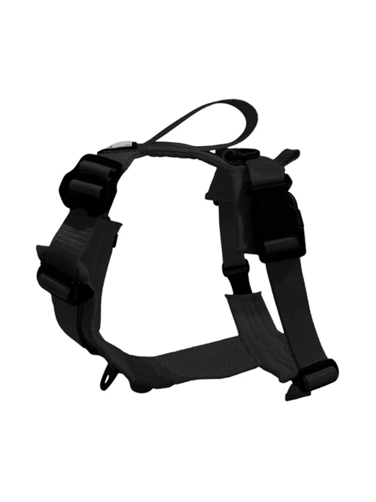 LE CHIEN BLANC - Harnais Horizon. Bêtes Gourmandes, boutique spécialisée alimentation, éducation et sports pour chiens à Québec.