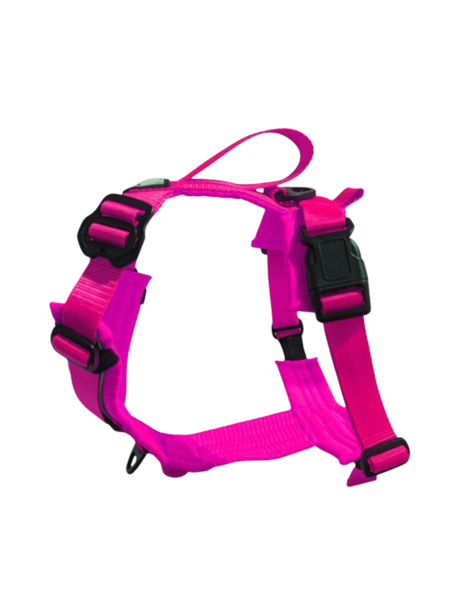 LE CHIEN BLANC - Harnais Horizon. Bêtes Gourmandes, boutique spécialisée alimentation, éducation et sports pour chiens à Québec.