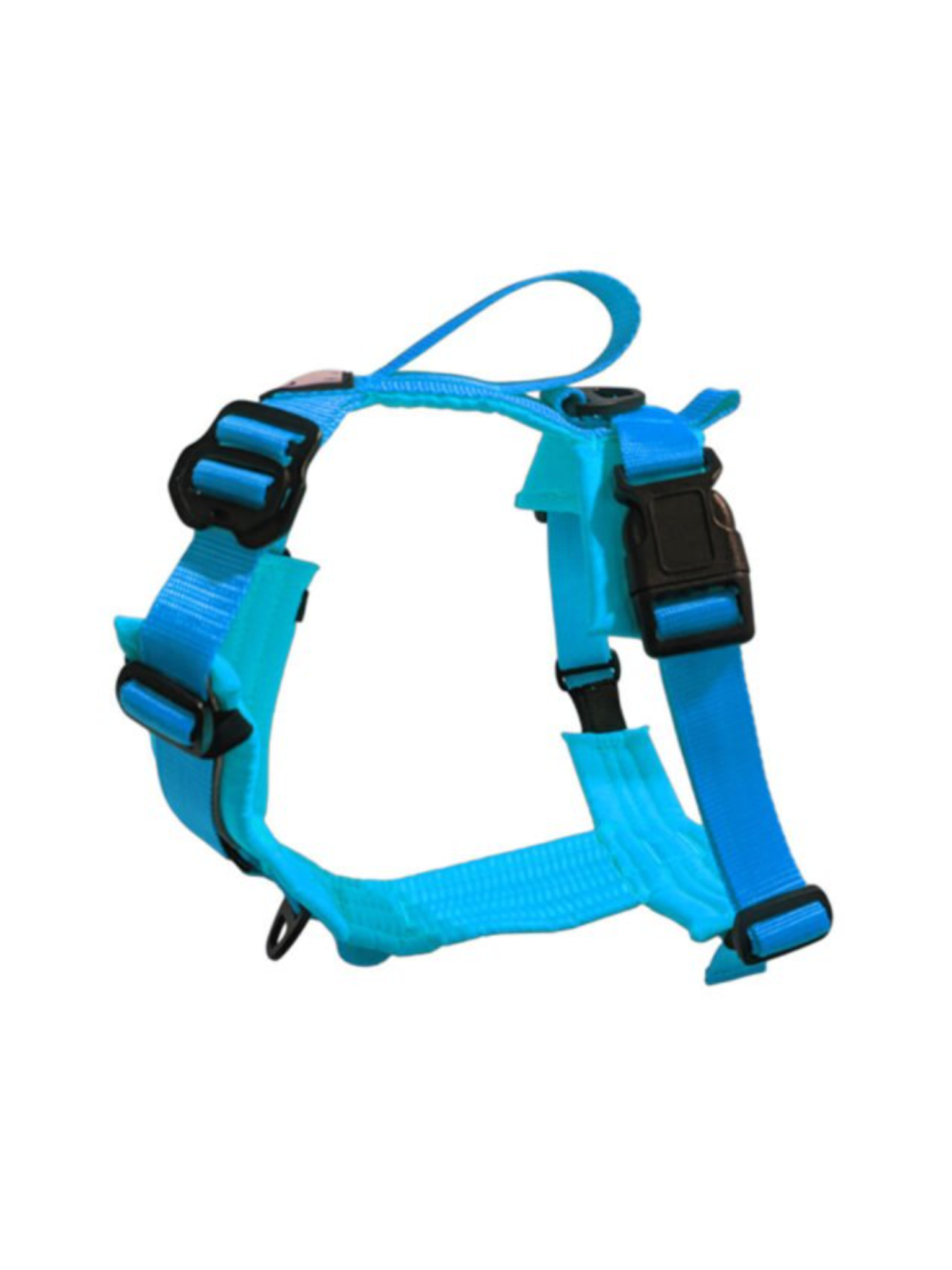 LE CHIEN BLANC - Harnais Horizon. Bêtes Gourmandes, boutique spécialisée alimentation, éducation et sports pour chiens à Québec.