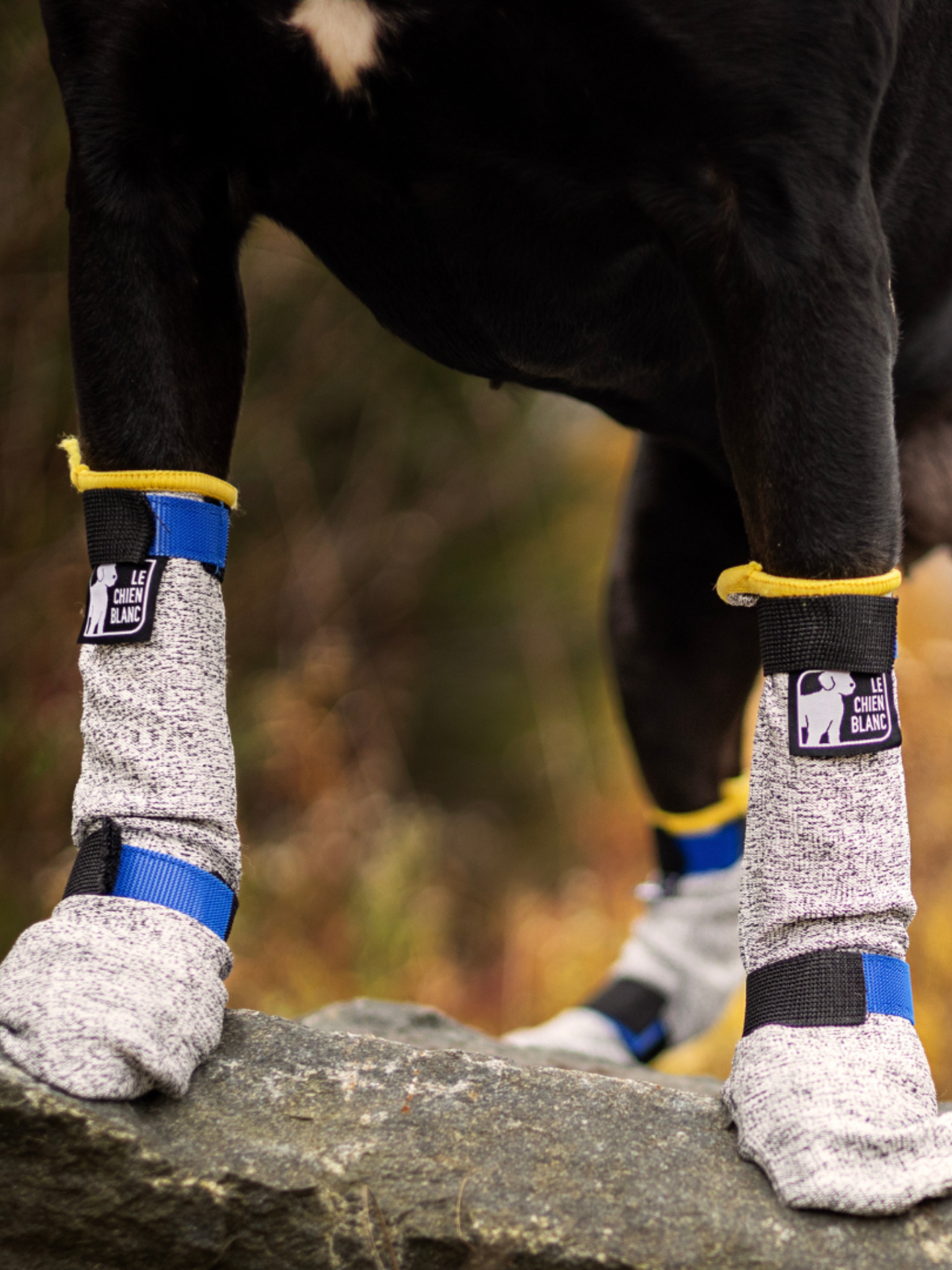 LE CHIEN BLANC - Botte longue anti-coupure