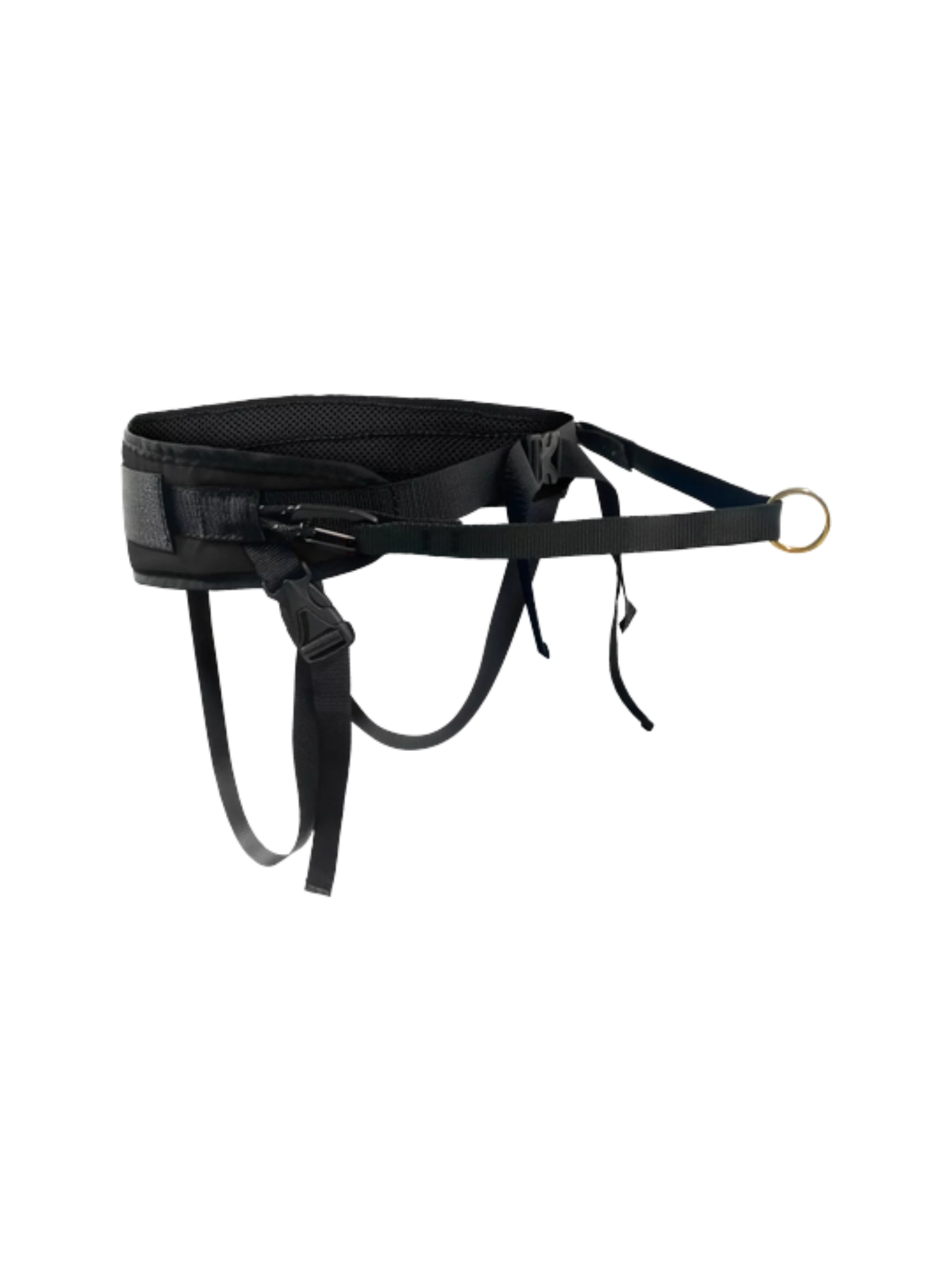 La ceinture de marche parfaite pour une promenade en ville ou pour un canicross en sentier! Bêtes Gourmandes spécialiste en nutrition pour chien et chat et comportement canin à Québec.