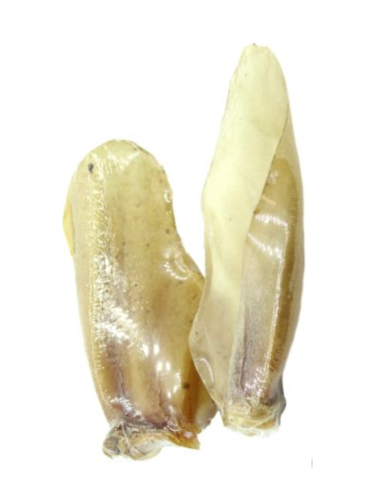 NATURE'S OWN - Oreille de buffle d'eau (unité). Bêtes Gourmandes, boutique spécialisée en alimentation, éducation et sports canins à Québec.