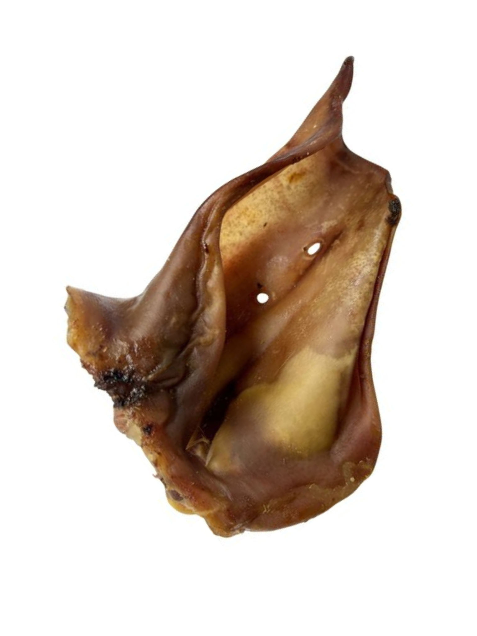 Oreilles de porc géante. Bêtes Gourmandes, spécialiste en nourriture et produits pour chien et chat en ligne et en magasin à Québec.