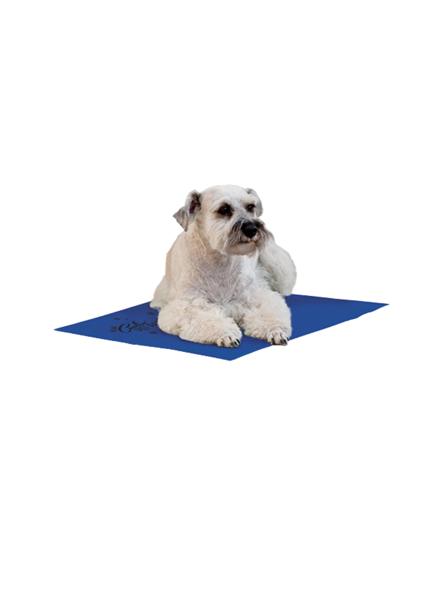 K&H - Tapis rafraichissant pour chien. Bêtes Gourmandes, boutique spécialisée alimentation, éducation et sports pour chiens à Québec.