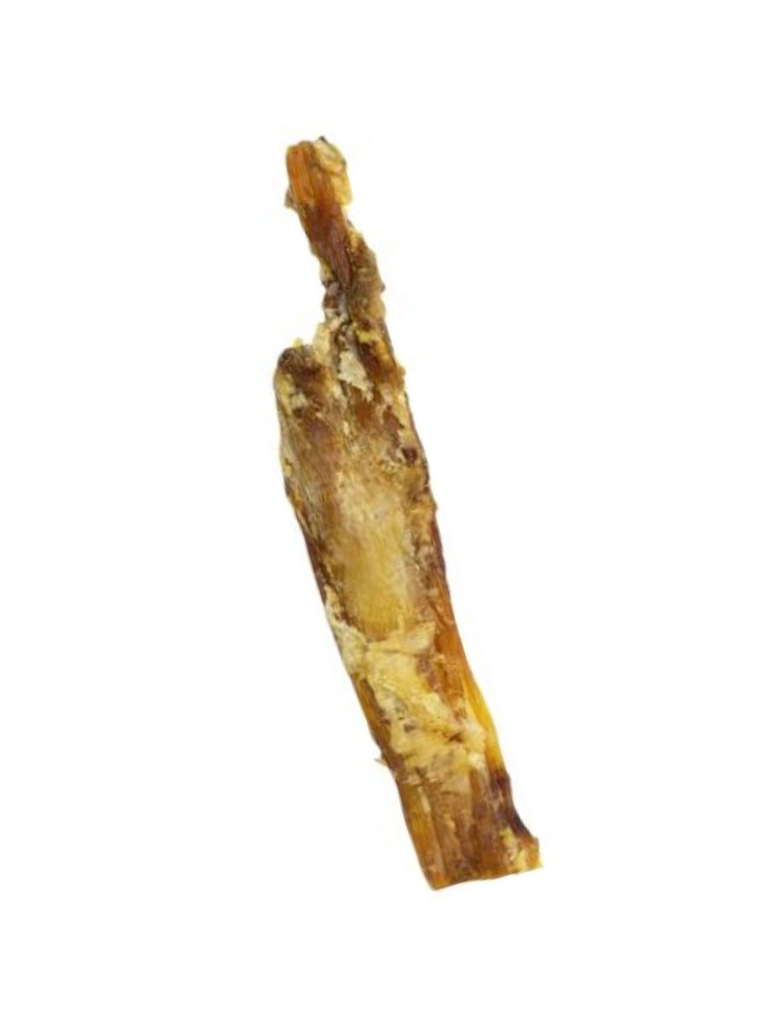 BELLERIVE - Tendon de boeuf 8-12po. Bêtes Gourmandes, boutique spécialisée alimentation, éducation et sports pour chiens à Québec.