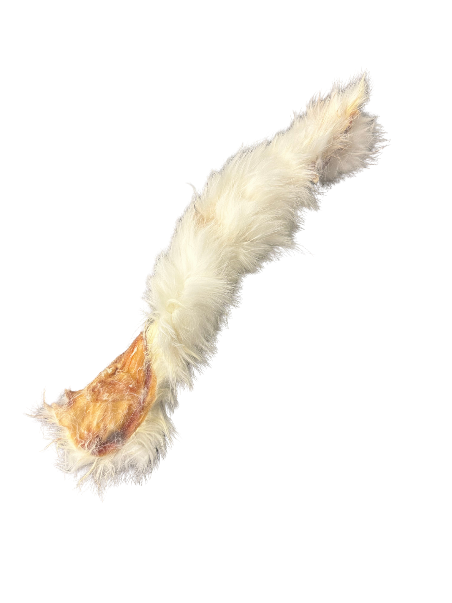 GVQ - Torsade de peau de lapin. Bêtes Gourmandes, boutique spécialisée alimentation, éducation et sports pour chiens à Québec.