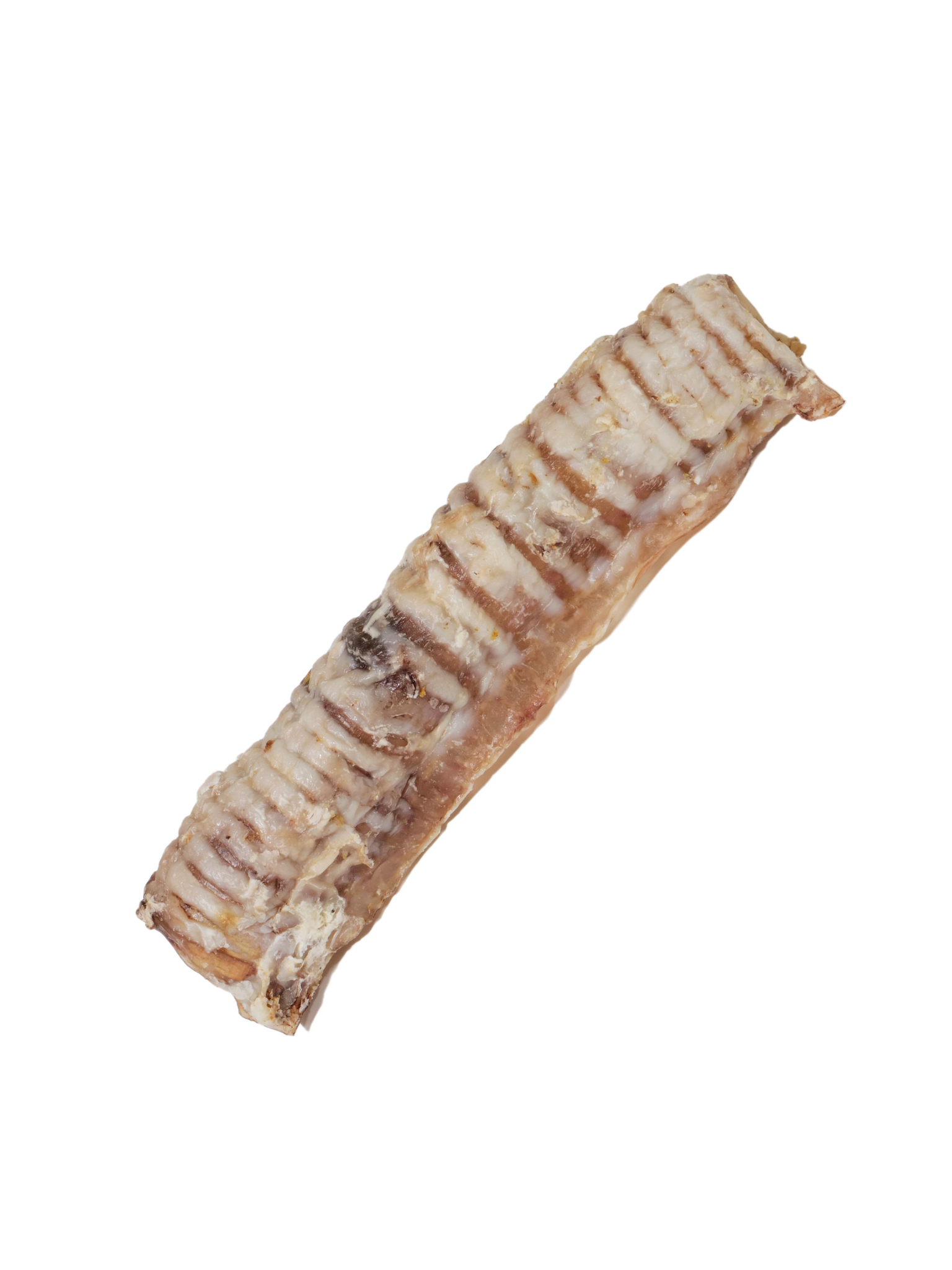 Trachée De Boeuf 6'' (Unité). Bêtes Gourmandes, spécialiste en nourriture et produits pour chien et chat en ligne et en magasin à Québec.