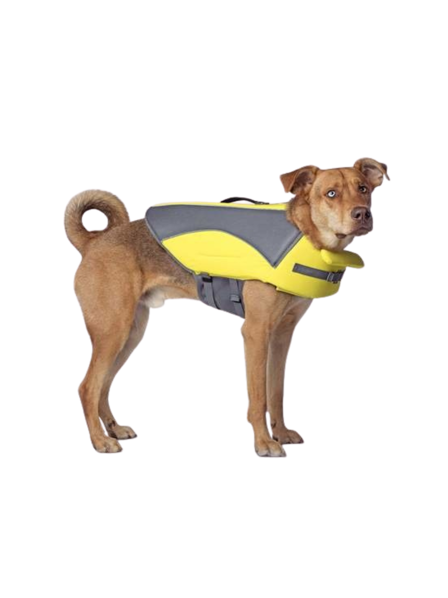CANADA POOCH - Veste de flottaison