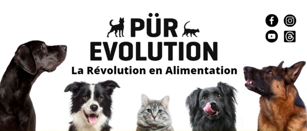 PÜR ÉVOLUTION pour chien