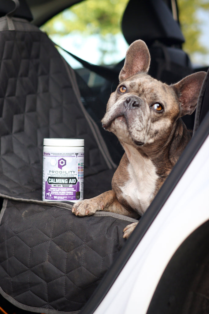 Produits calmants pour chien