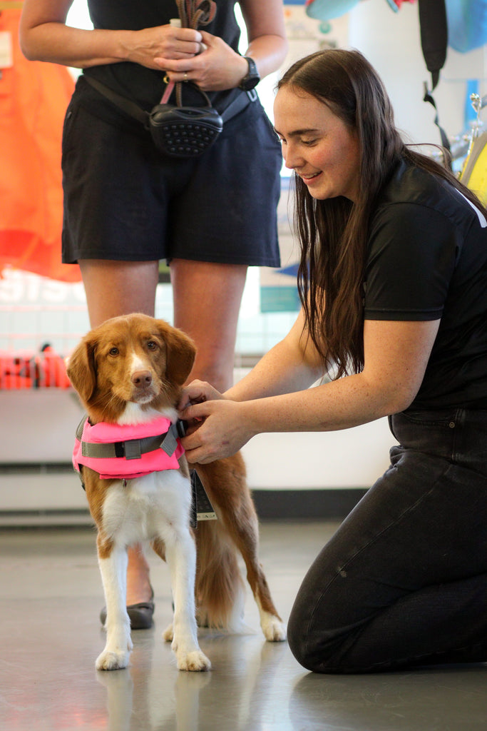 Vêtements pour chien