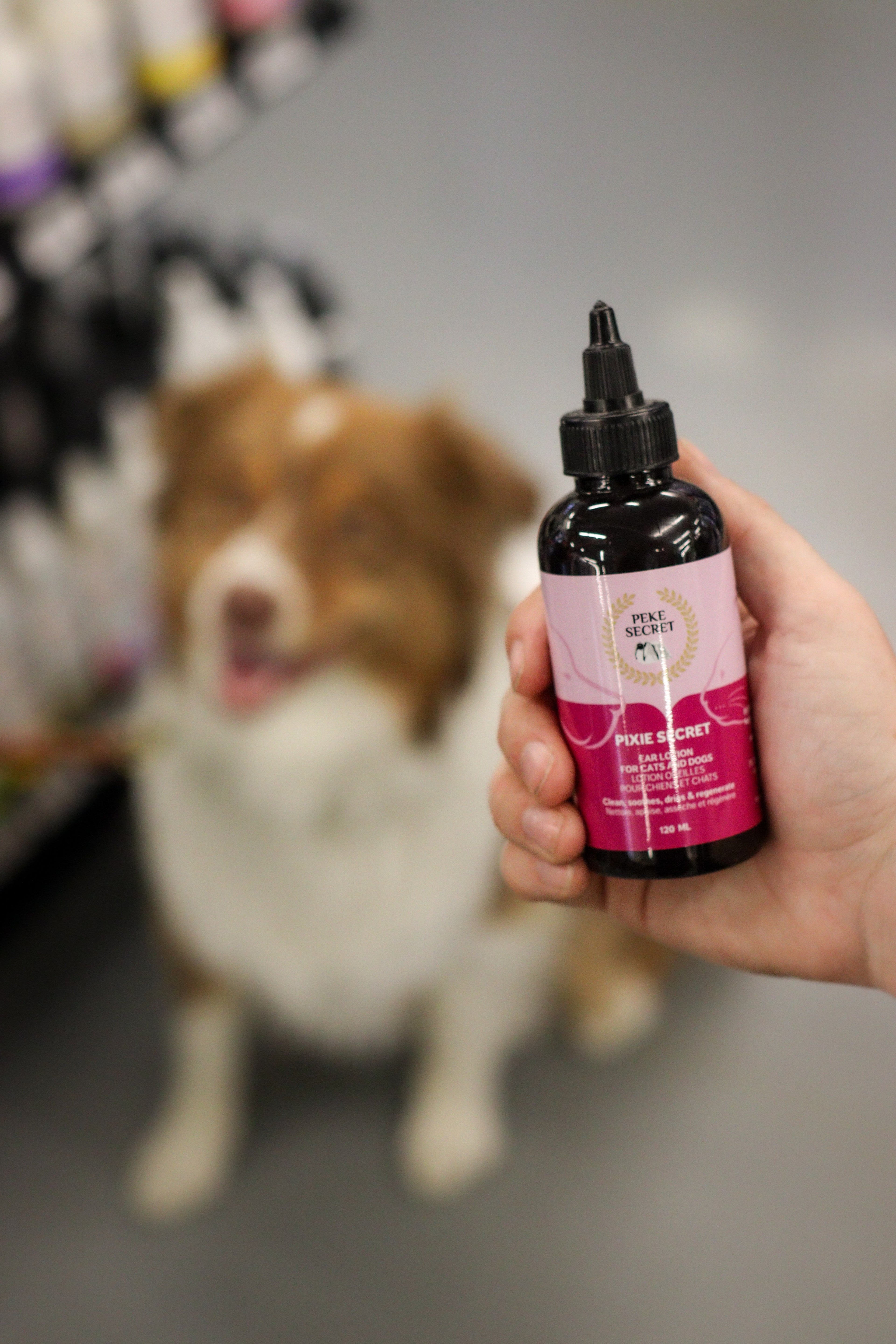 Produits de soins pour chien