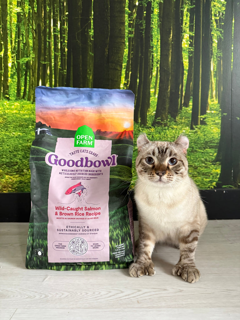 Open farm pour chat