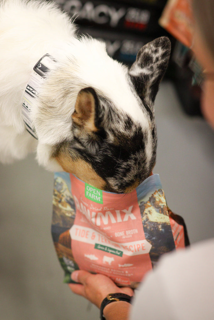 Produits lyophilisés pour chien