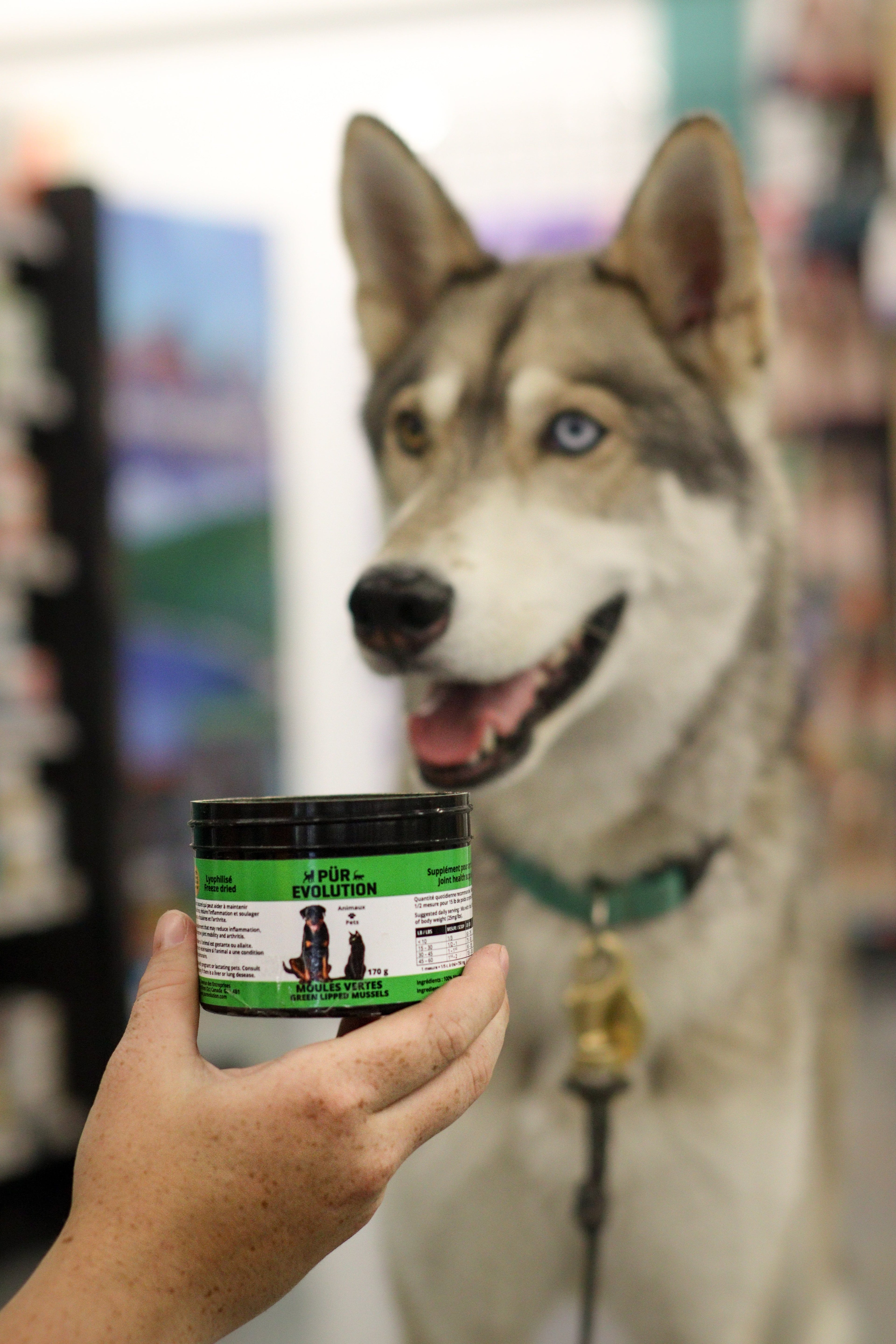 Suppléments pour chien