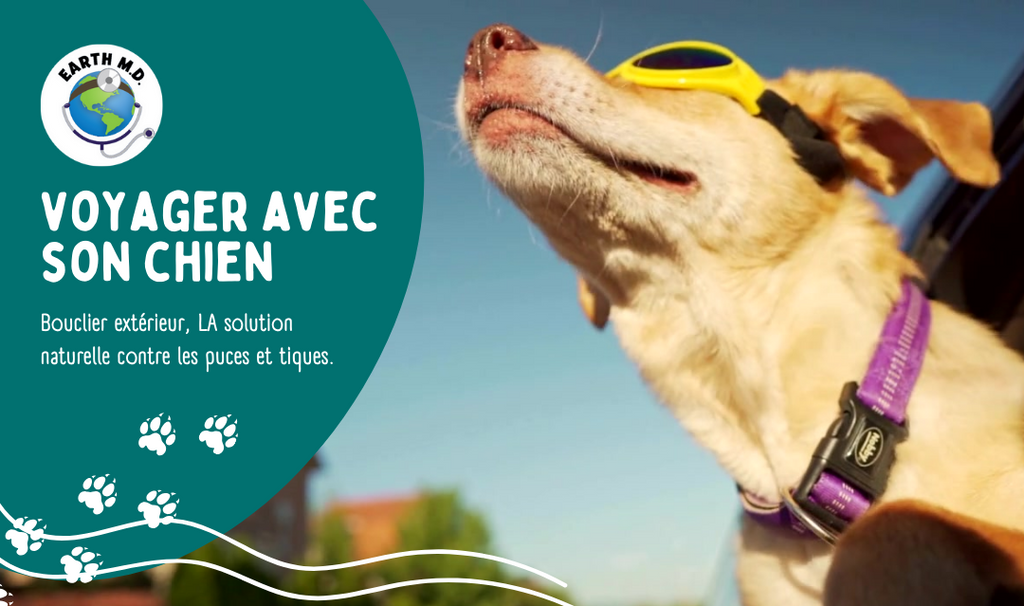 Produits puces & tiques pour chien