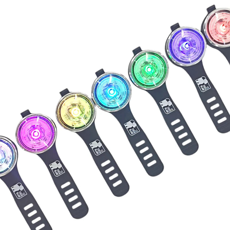 LE CHIEN BLANC - Lumière sparkle. Bêtes Gourmandes, boutique spécialisée alimentation, éducation et sports pour chiens à Québec.