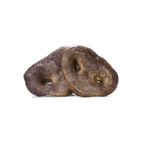 Raw Bar - Nez De Porc Lyophilisée. Bêtes Gourmandes, spécialiste en nourriture et produits pour chien et chat en ligne et en magasin à Québec.