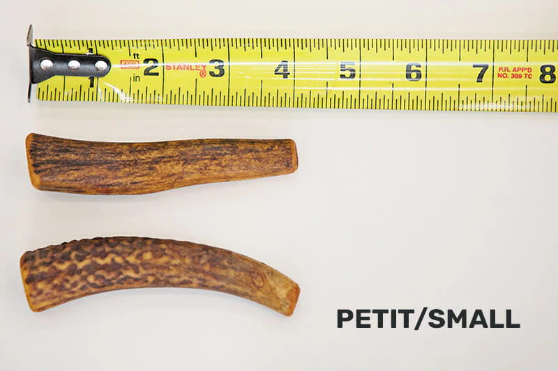 Dentler - Bois De Cervidé Fumé. Bêtes Gourmandes, spécialiste en nourriture et produits pour chien et chat en ligne et en magasin à Québec.