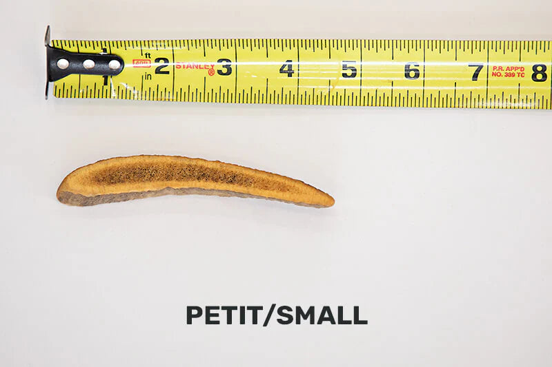 Dentler - Bois De Cervidé Fumé. Bêtes Gourmandes, spécialiste en nourriture et produits pour chien et chat en ligne et en magasin à Québec.