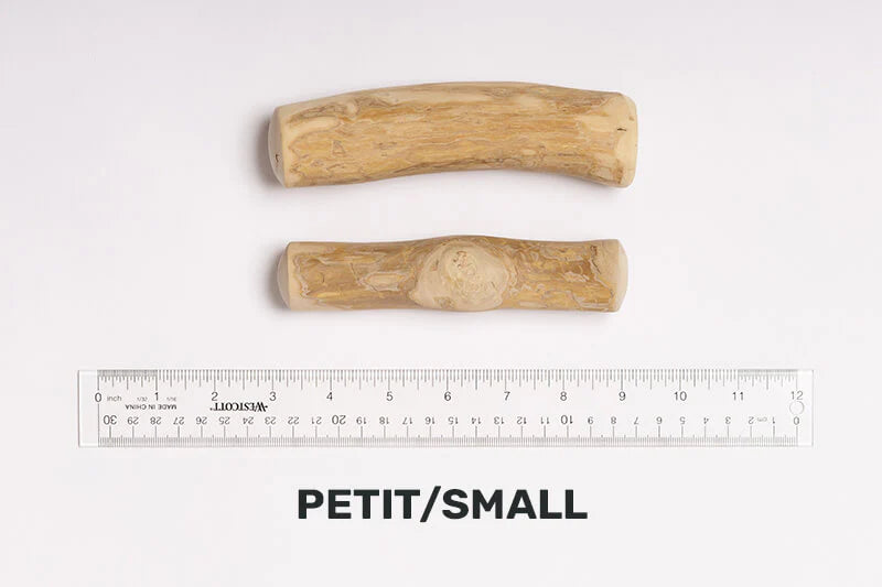 DENTLER - Bois de java petit naturel. Bêtes Gourmandes, boutique spécialisée alimentation, éducation et sports pour chiens à Québec.
