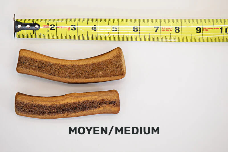 Dentler - Bois De Cervidé Fumé. Bêtes Gourmandes, spécialiste en nourriture et produits pour chien et chat en ligne et en magasin à Québec.
