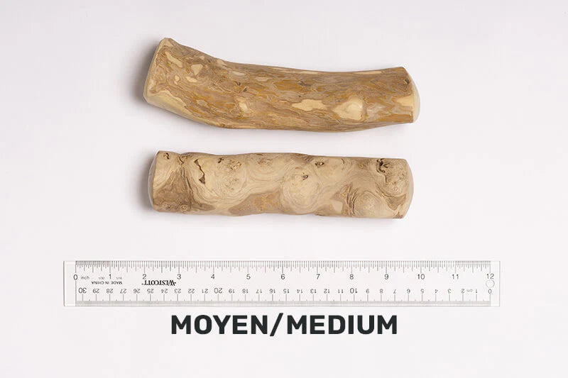 DENTLER - Bois de java moyen naturel. Bêtes Gourmandes, boutique spécialisée alimentation, éducation et sports pour chiens à Québec.