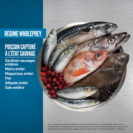 ORIJEN - Six poissons 11.4kg. Bêtes Gourmandes, boutique spécialisée alimentation, éducation et sports pour chiens à Québec.