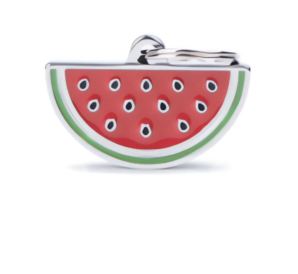 MYFAMILY - Médaille '' MELON D'EAU ''. Bêtes Gourmandes, boutique spécialisée alimentation, éducation et sports pour chiens à Québec.