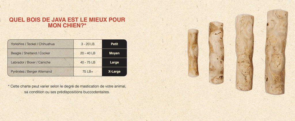 DENTLER - Bois de java naturel. Bêtes Gourmandes, boutique spécialisée alimentation, éducation et sports pour chiens à Québec.