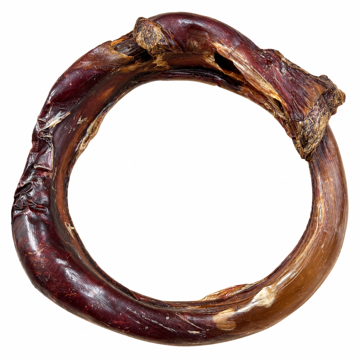LA DOGUERIE - Anneau d'oesophage de boeuf 4-7 po