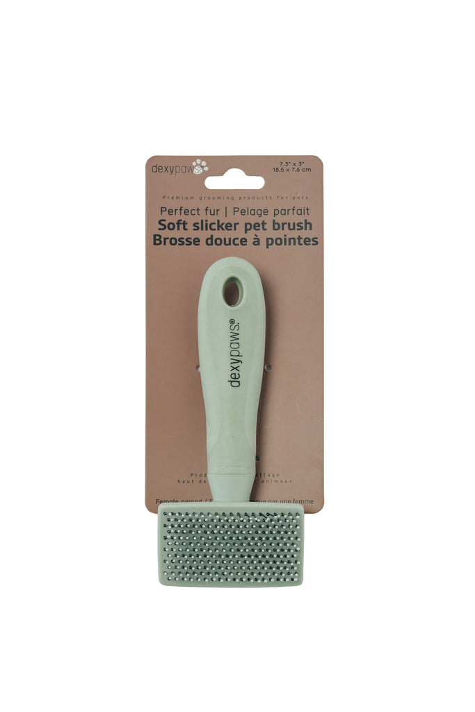 DEXYPAWS - Brosse démêlante douce à pointe de plastique. Bêtes Gourmandes, boutique spécialisée alimentation, éducation et sports pour chiens à Québec.