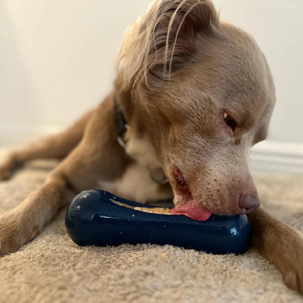 Freezstick baton interactif. Bêtes Gourmandes, boutique spécialisée alimentation, éducation et sports pour chiens à Québec.