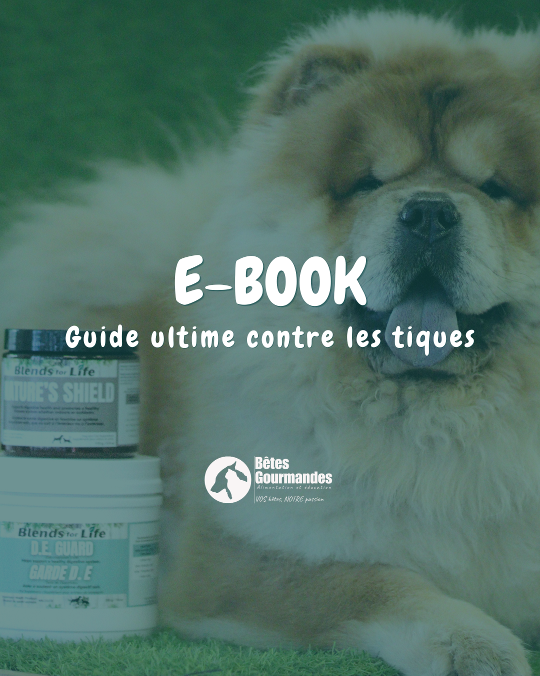 Ebook sur les tiques
