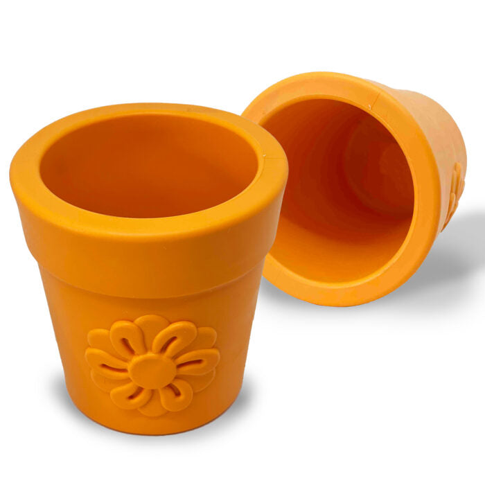 SODAPUP - Pot de fleur, bêtes gourmandes, ville de Québec.