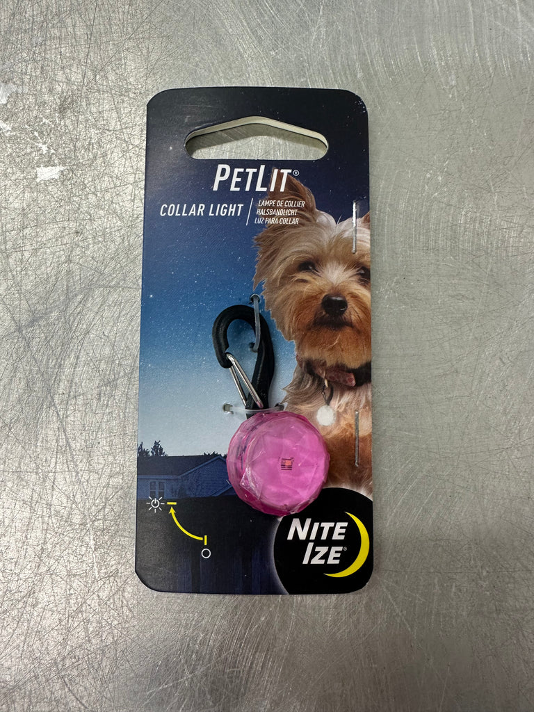 NITE IZE - breloque lumineuse pour chien, Bêtes Gourmandes ville de Québec.