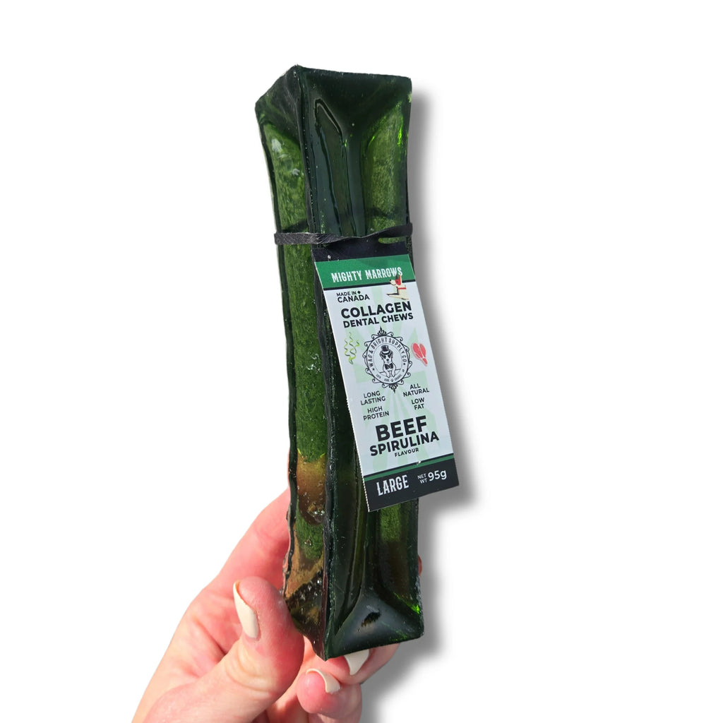 WAG & BRIGHT - Bâton de moelle osseuse & collagène avec boeuf & spiruline. Bêtes Gourmandes, boutique spécialisée alimentation, éducation et sports pour chiens à Québec.