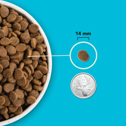 ACANA - Haute en protéine, Pacifica 11.4 kg. Bêtes Gourmandes, boutique spécialisée alimentation, éducation et sports pour chiens à Québec.