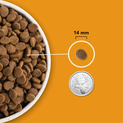 ACANA - Haute en protéine, Wild Prairie 11.4kg. Bêtes Gourmandes, boutique spécialisée alimentation, éducation et sports pour chiens à Québec.