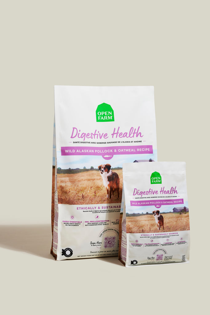 OPEN FARM - Recette pour la santé digestive à la goberge. Bêtes Gourmandes, boutique spécialisée alimentation, éducation et sports pour chiens à Québec.