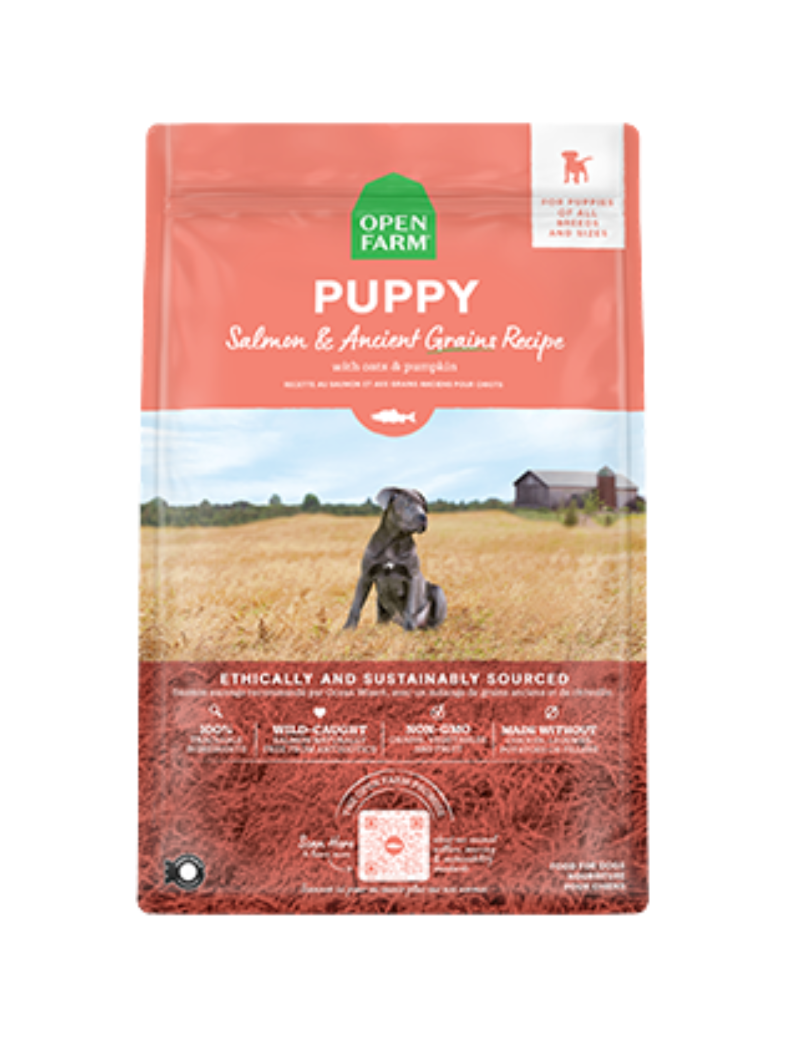 OPEN FARM - Chiot grains ancients saumon et patate douce. Bêtes Gourmandes, boutique spécialisée alimentation, éducation et sports pour chiens à Québec.
