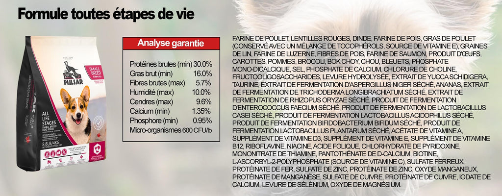 PULSAR - Petite race tout stade de vie. Bêtes Gourmandes, boutique spécialisée alimentation, éducation et sports pour chiens à Québec.