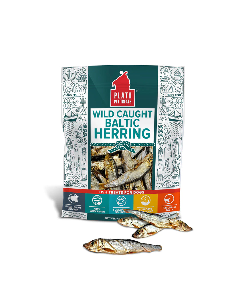PLATO - Hareng complet 8.5oz. Bêtes Gourmandes, boutique spécialisée alimentation, éducation et sports pour chiens à Québec.