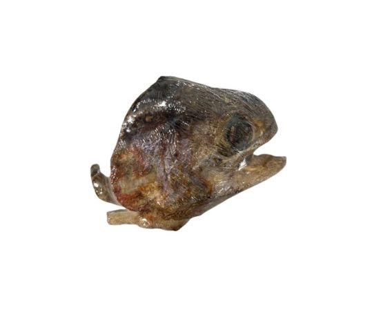 WAWWAW - Tête de poisson lyophilisée