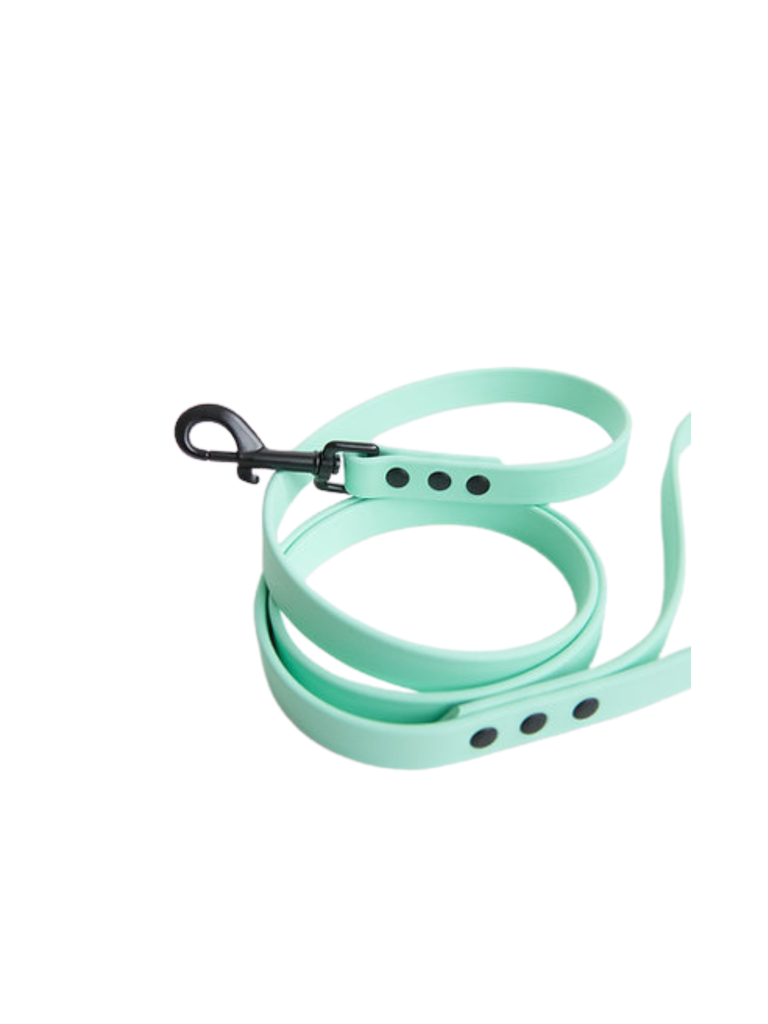 Laisse 5 pi de long 3/4 de po de large en Biothane heavy duty. Notre laisse classique qui convient à la majorité des tailles de chiens. Si vous avez un très petit chien je vous conseil le "mini kit". Possibilité de prendre des commandes sur mesure (prévoir un délai d'au moins 6 semaines) *Prendre note que la quincaillerie noire s'écaille avec le temps.