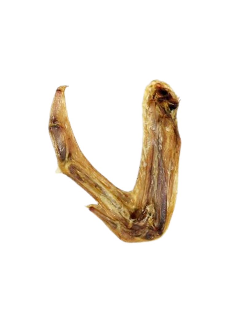 WAWWAW - Aile de canard. Bêtes Gourmandes, boutique spécialisée alimentation, éducation et sports pour chiens à Québec.