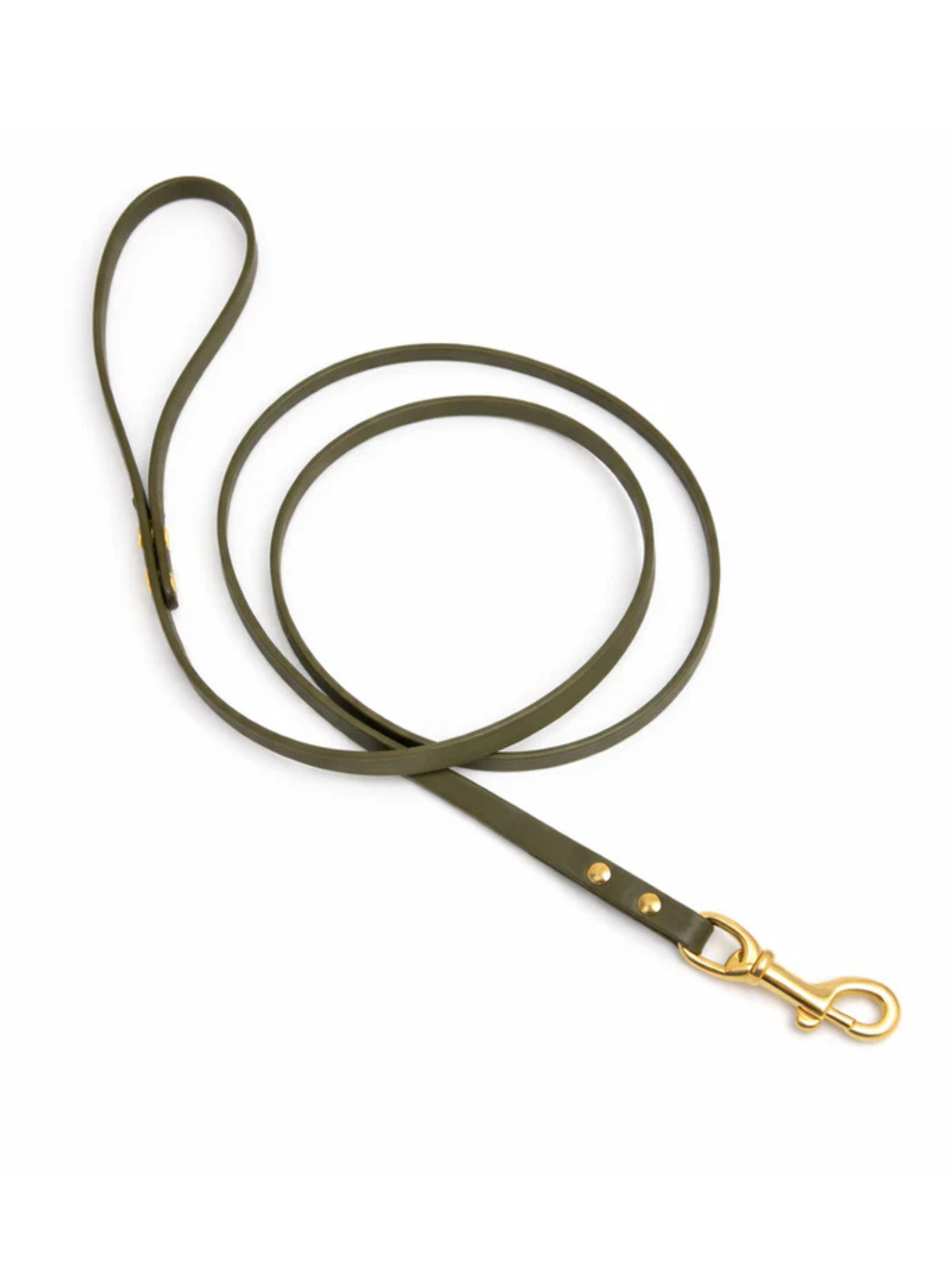 MÉDAILLES ALPINE - Laisse en biothane 5/8 po 5 pi