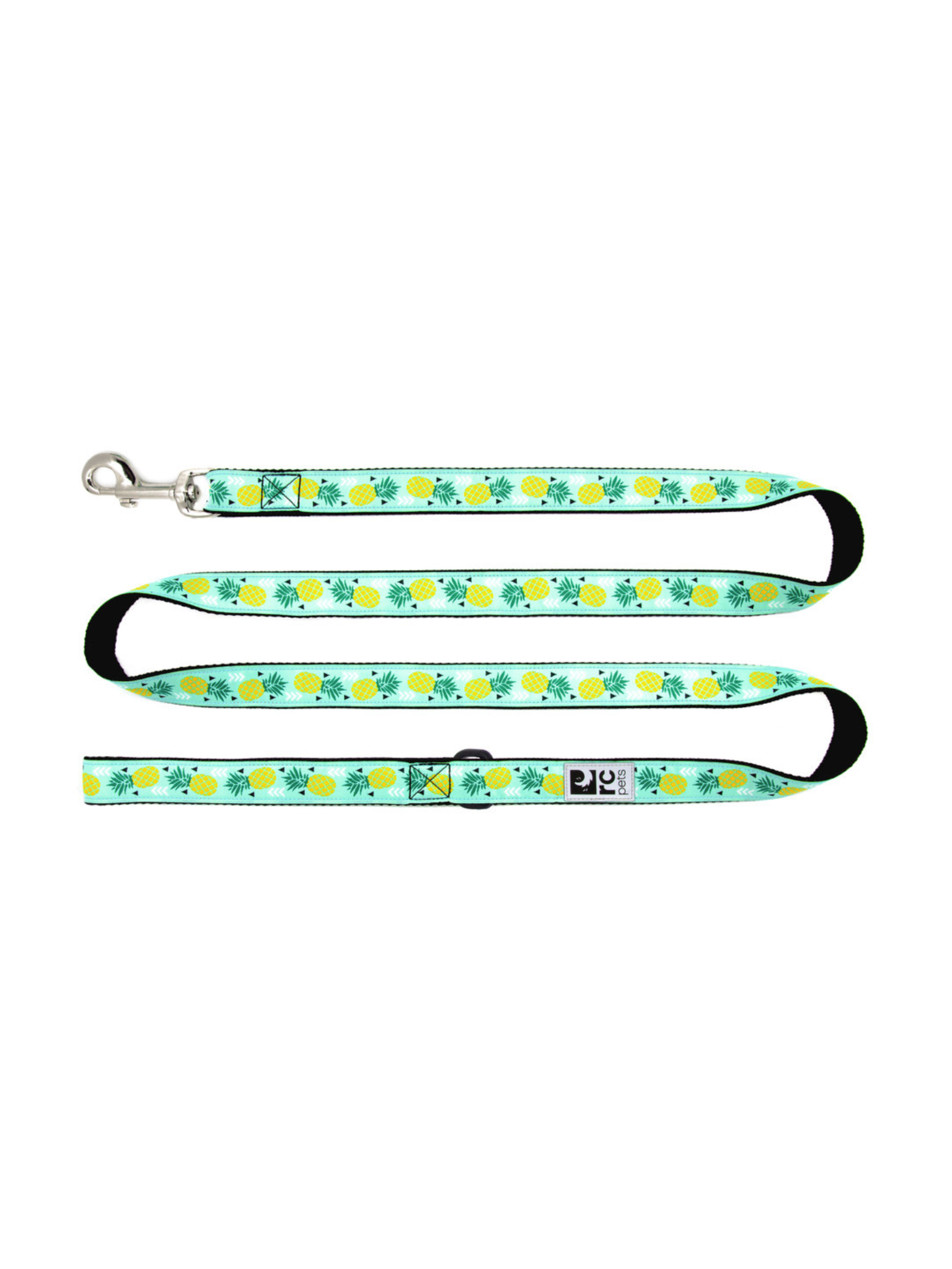 RC PETS - Laisse à motif 3/4x6. Bêtes Gourmandes, boutique spécialisée alimentation, éducation et sports pour chiens à Québec.